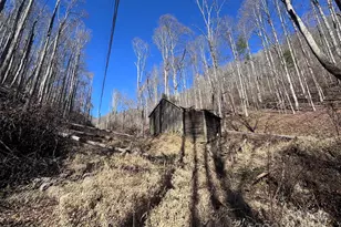 15 +/- Acres Riddle Branch Rd, Burnsville, NC 28714 - Photo 18