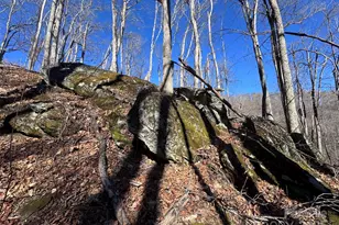 15 +/- Acres Riddle Branch Rd, Burnsville, NC 28714 - Photo 12