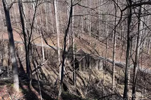 15 +/- Acres Riddle Branch Rd, Burnsville, NC 28714 - Photo 30