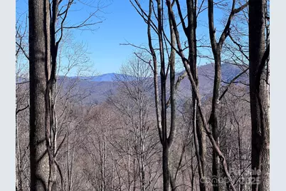 15 +/- Acres Riddle Branch Road, Burnsville, NC 28714 - Photo 4