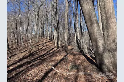 15 +/- Acres Riddle Branch Road, Burnsville, NC 28714 - Photo 32