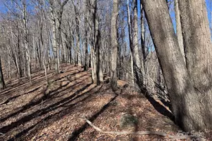 15 +/- Acres Riddle Branch Rd, Burnsville, NC 28714 - Photo 32