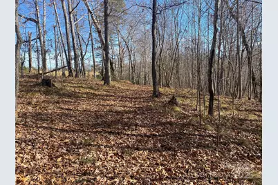 0 Kiser Road, Bostic, NC 28018 - Photo 4