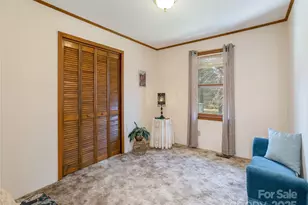 3021 Kanuga Rd, Hendersonville, NC 28739 - Photo 10