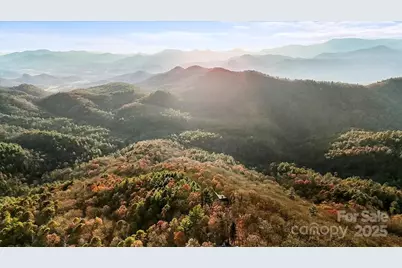 2919 Highland Gap Road, Scaly Mountain, NC 28775 - Photo 4