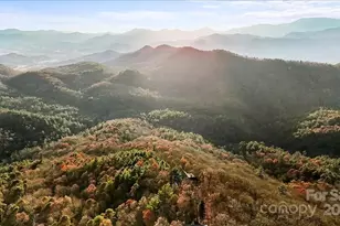 2919 Highland Gap Rd, Scaly Mountain, NC 28775 - Photo 4