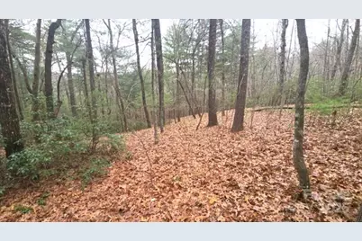 23 Jay Foster Way #22/23, Saluda, NC 28773 - Photo 42