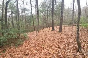 23 Jay Foster Way, Saluda, NC 28773 - Photo 42