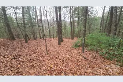 23 Jay Foster Way #22/23, Saluda, NC 28773 - Photo 44