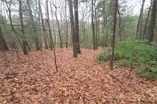 23 Jay Foster Way, Saluda, NC 28773 - Photo 44