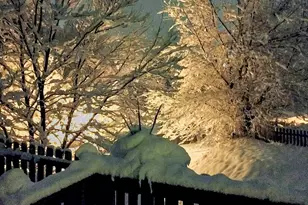 106 Hazy Day Rd, Swannanoa, NC 28778 - Photo 30