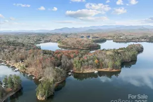 1224 Forest Lake Heights Dr, Nebo, NC 28761 - Photo 46