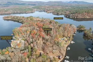 1224 Forest Lake Heights Dr, Nebo, NC 28761 - Photo 6