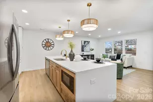 1325 Norris Ave, Charlotte, NC 28206 - Photo 10