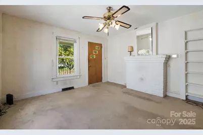 29 Oteen Park Place, Asheville, NC 28805 - Photo 4