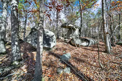 2399 Gold Mine Highway, Kershaw, SC 29067 - Photo 40