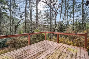 100 Sherwood Ridge Rd, Brevard, NC 28712 - Photo 28