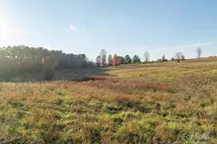 1888 Pea Ridge Rd, Mill Spring, NC 28756 - Photo 8