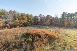 1888 Pea Ridge Rd, Mill Spring, NC 28756 - Photo 8