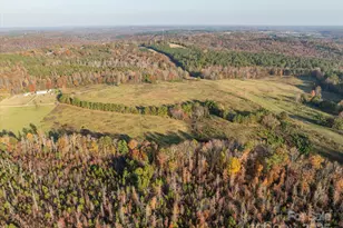 1888 Pea Ridge Rd, Mill Spring, NC 28756 - Photo 24