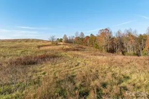 1888 Pea Ridge Rd, Mill Spring, NC 28756 - Photo 6