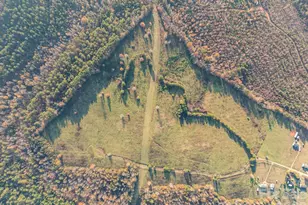 1888 Pea Ridge Rd, Mill Spring, NC 28756 - Photo 28