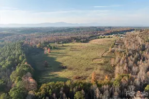 1888 Pea Ridge Rd, Mill Spring, NC 28756 - Photo 26