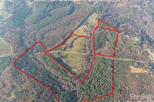 1888 Pea Ridge Rd, Mill Spring, NC 28756 - Photo 30