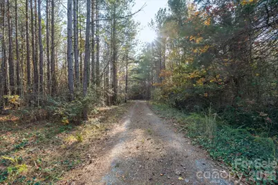 1888 Pea Ridge Road, Mill Spring, NC 28756 - Photo 16