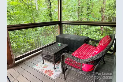 14 Constitution Court, Asheville, NC 28805 - Photo 28