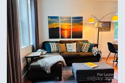 14 Constitution Court, Asheville, NC 28805 - Photo 8