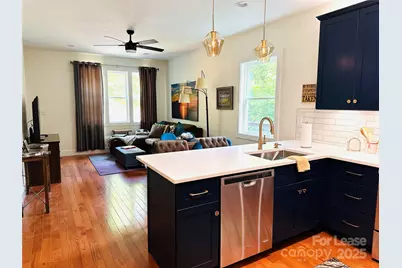 14 Constitution Court, Asheville, NC 28805 - Photo 6