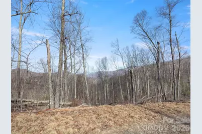 Tbd S Ridge Runner Road, Burnsville, NC 28714 - Photo 2