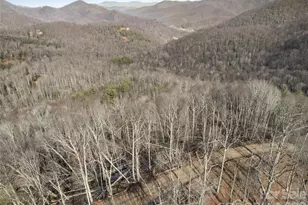 Tbd S Ridge Runner Rd, Burnsville, NC 28714 - Photo 8