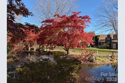 16 Lakemoor Lane, Hendersonville, NC 28739 - Photo 42