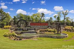 3135 Bartlett St, Fort Mill, SC 29715 - Photo 38