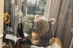 179 Rutledge Rd, Fletcher, NC 28732 - Photo 26