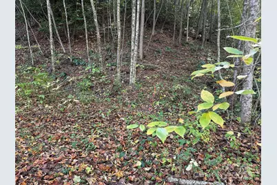 000 Hamburg Road #49, Mars Hill, NC 28754 - Photo 8