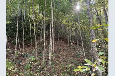 000 Hamburg Road #49, Mars Hill, NC 28754 - Photo 10