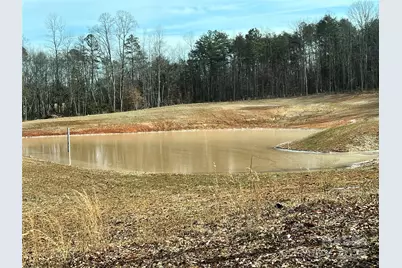 225 Zeb Road, Union Grove, NC 28689 - Photo 30