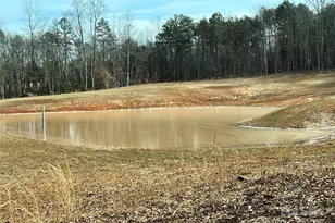 225 Zeb Rd, Union Grove, NC 28689 - Photo 30