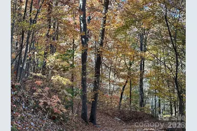 126 Mossycup Court, Tuckasegee, NC 28783 - Photo 32
