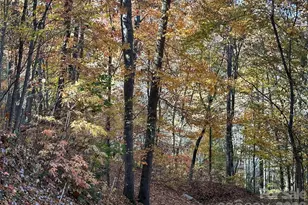 126 Mossy Cup Ct, Tuckasegee, NC 28783 - Photo 32