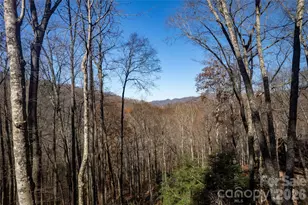 126 Mossy Cup Ct, Tuckasegee, NC 28783 - Photo 2