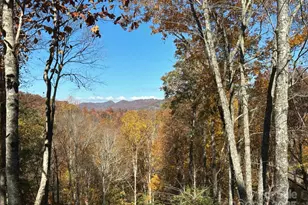 126 Mossy Cup Ct, Tuckasegee, NC 28783 - Photo 26