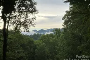 126 Mossy Cup Ct, Tuckasegee, NC 28783 - Photo 4