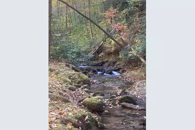 126 Mossycup Court, Tuckasegee, NC 28783 - Photo 34