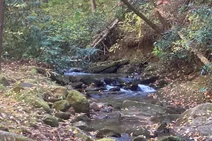 126 Mossy Cup Ct, Tuckasegee, NC 28783 - Photo 34