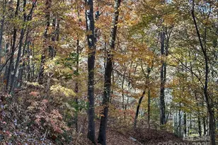 126 Mossy Cup Ct, Tuckasegee, NC 28783 - Photo 32