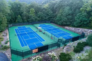 126 Mossy Cup Ct, Tuckasegee, NC 28783 - Photo 42